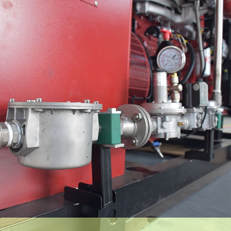 Equipped With High-End Monitoring System Gas Leakage Alarm 80KW 6BTA Natural Gas Generator