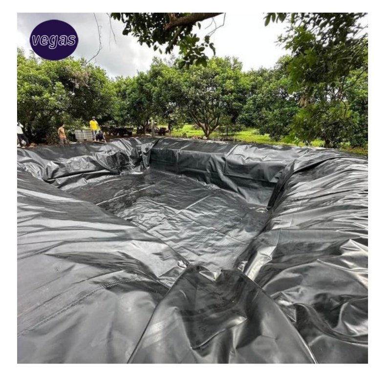1mm 2mm Waterproof Geomembrane Hdpe Geomembrane Artificial Lake Pool Fish Pond Farm Liner