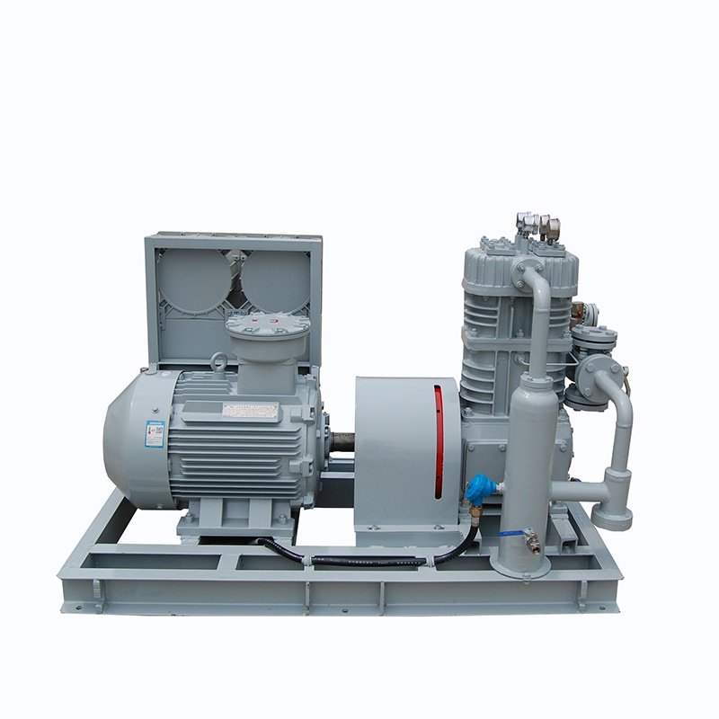 Hot sale biogas CNG Air compressors LPG Fuel Chlorine Natural Gas Flow Meter Air Compressor