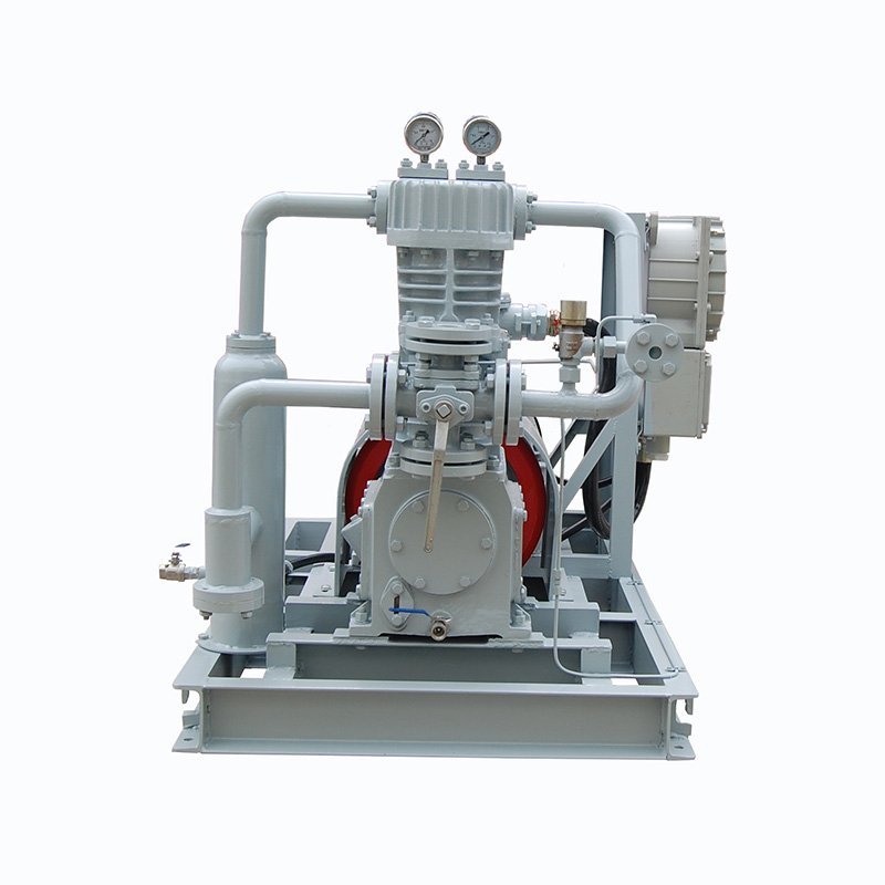 Hot sale biogas CNG Air compressors LPG Fuel Chlorine Natural Gas Flow Meter Air Compressor
