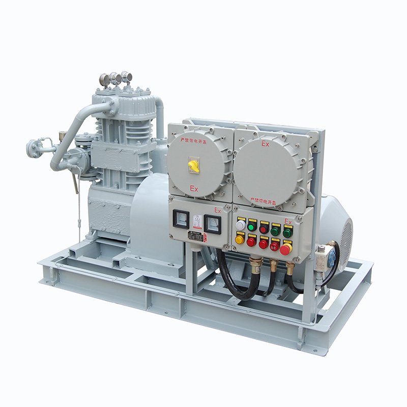 Hot sale biogas CNG Air compressors LPG Fuel Chlorine Natural Gas Flow Meter Air Compressor