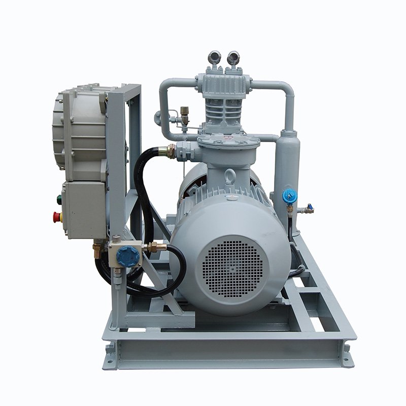 Hot sale biogas CNG Air compressors LPG Fuel Chlorine Natural Gas Flow Meter Air Compressor