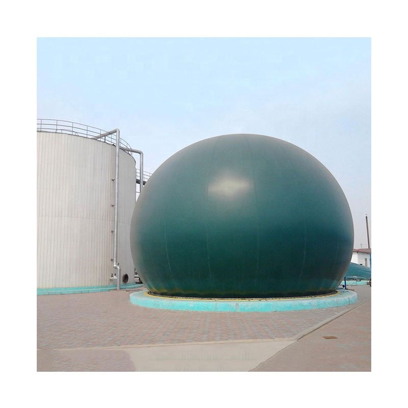 industrial size biodigester biogas septic tank with biogas purification plant