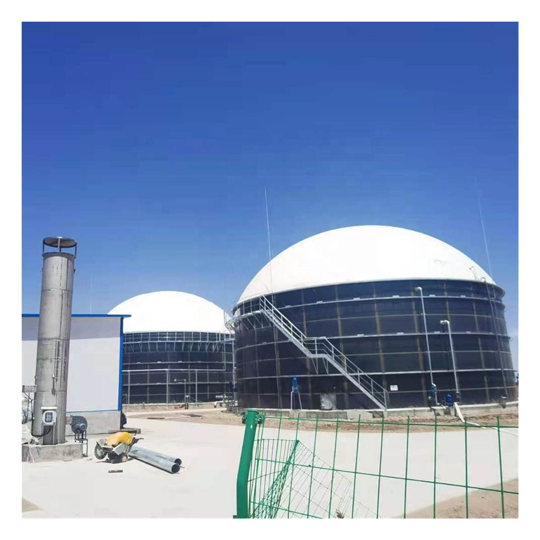 Biogas digester waste treatment plants industrial biodigester CSTR biogas storage