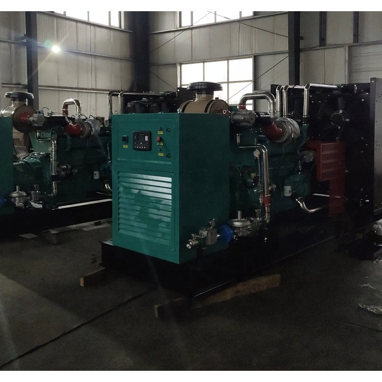 Hot Sell 500kW Natural Gas Generator/Butane Generator /625kVA Biogas Propane Gas Generator