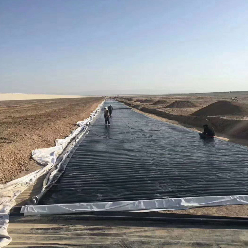 Pig farm biogas digester black membrane aeration tank anti-seepage membrane oxidation pond HDPE geomembrane factory