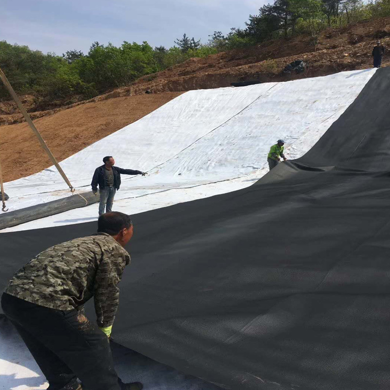 Pig farm biogas digester black membrane aeration tank anti-seepage membrane oxidation pond HDPE geomembrane factory