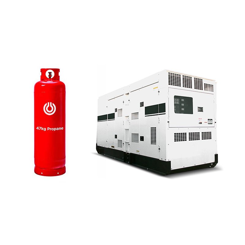 HPC313NG6 COP 250kW Methane LNG LPG Natural Gas Powered Generators Set Water Cooled Backup Generation UL Wires Breakers