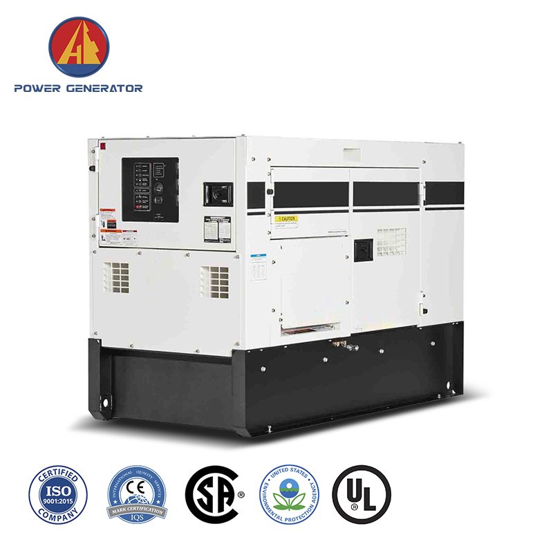 HPC313NG6 COP 250kW Methane LNG LPG Natural Gas Powered Generators Set Water Cooled Backup Generation UL Wires Breakers