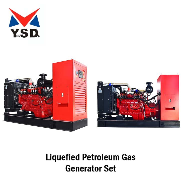 Equipped With Explosion-Proof Valves Gas Composition Adaptive Technology 80KW Biogas Generator
