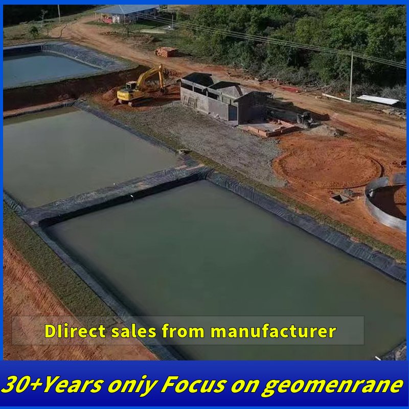 HDPE Geomembranes for Shrimp Farming 0.5mm 0.75mm 1.0mm Pond Liner for Fish Farming