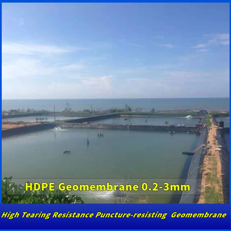 HDPE Geomembranes for Shrimp Farming 0.5mm 0.75mm 1.0mm Pond Liner for Fish Farming