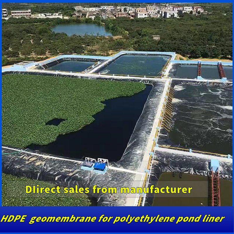 HDPE Geomembranes for Shrimp Farming 0.5mm 0.75mm 1.0mm Pond Liner for Fish Farming