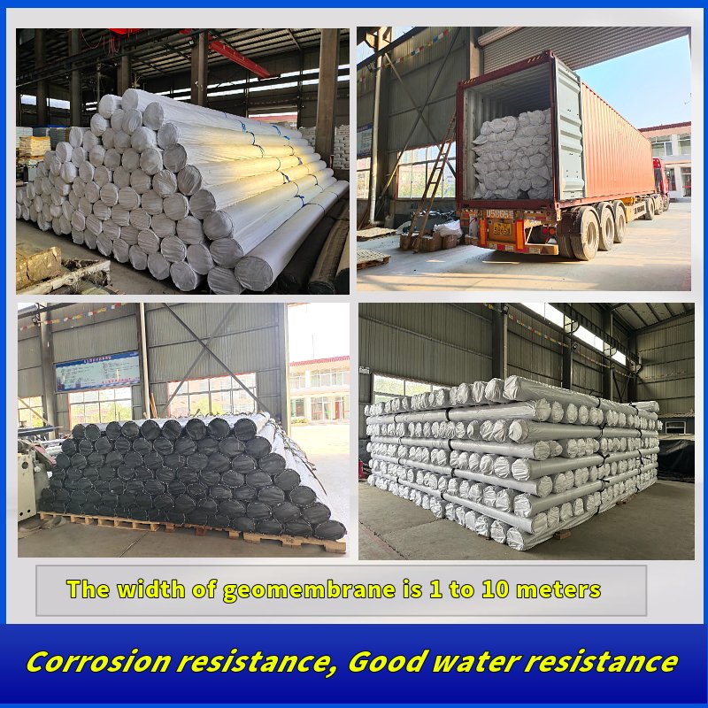 HDPE Geomembranes for Shrimp Farming 0.5mm 0.75mm 1.0mm Pond Liner for Fish Farming