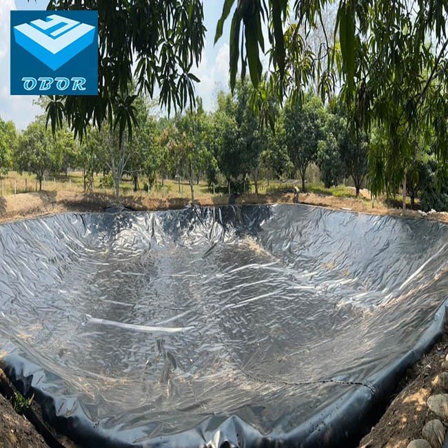 1mm 1.2mm 1.5mm 2mm Membrane / HDPE Geomembrane / Pond Liner for Dam/Landfill/Lake/Biogas/Mining/Fish/Shrimp Farm