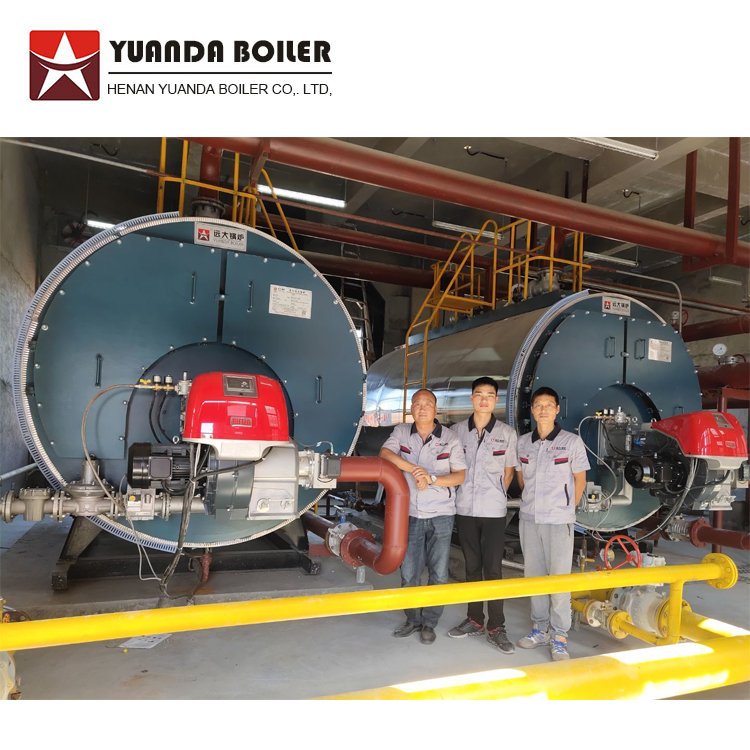 Horizontal Fuel Gas Biogas Fired Hot Water Boiler with Italy Burner