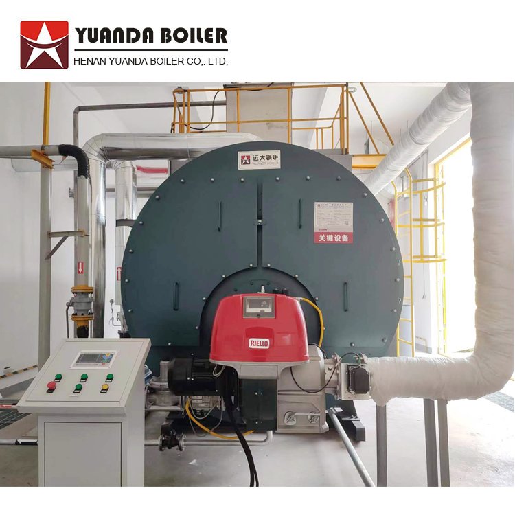 Horizontal Fuel Gas Biogas Fired Hot Water Boiler with Italy Burner
