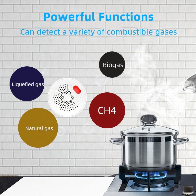 tuya smart wifi gas detector eu uk us ch4 natural Liquefied gas Biogas sensor multy gas leak detector