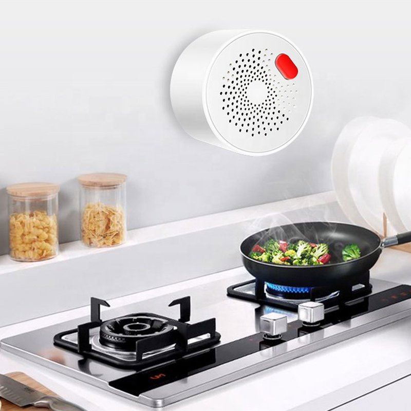 tuya smart wifi gas detector eu uk us ch4 natural Liquefied gas Biogas sensor multy gas leak detector