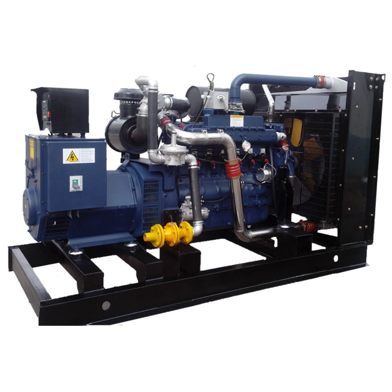 WeiChai 450KW natural Gas Generator LNG generator biogas generator with HV alternator