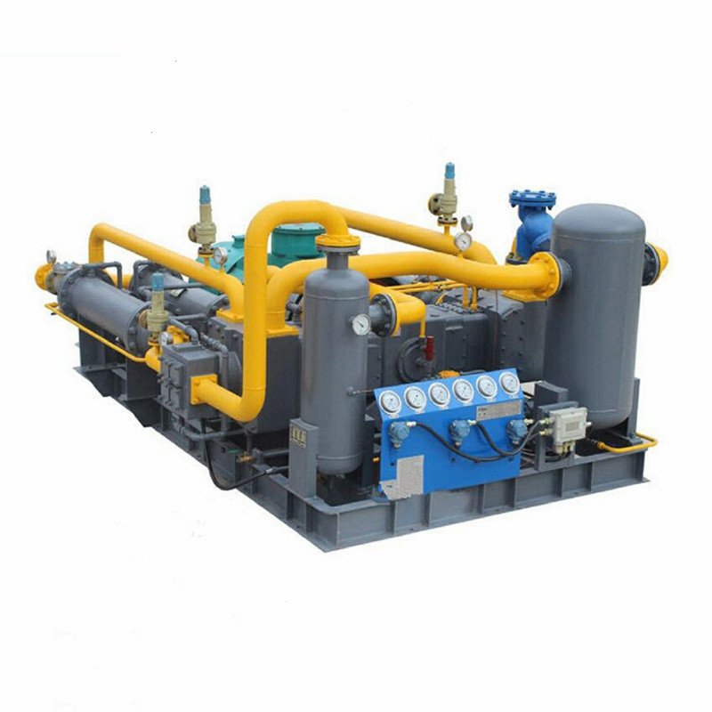 Industrial Oil Free Booster Reciprocating Piston Biogas Methan Compressor 300bar price