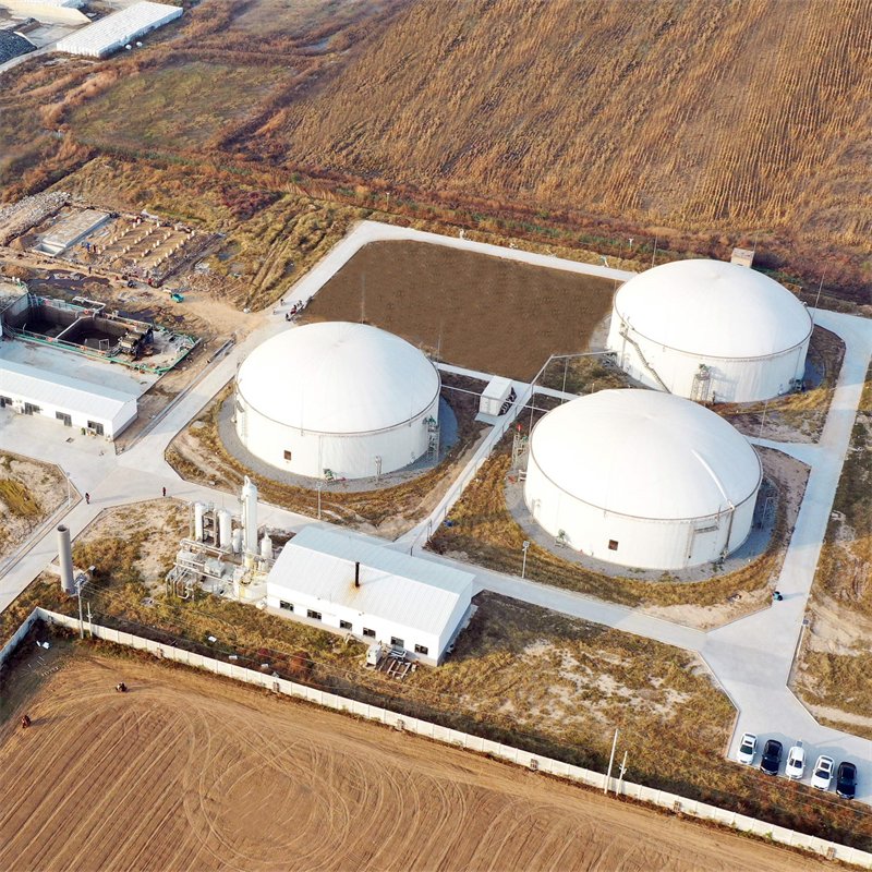 Top Quality Biogas H2S Scrubber Less Corrosive Amine Solution Separation Biogas CO2 Capture and Storage Equipment