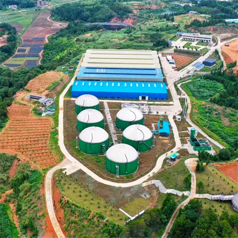 Top Quality Biogas H2S Scrubber Less Corrosive Amine Solution Separation Biogas CO2 Capture and Storage Equipment
