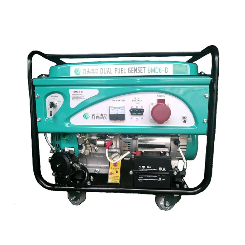 Manufacturing company 2kw 3kw 5kw 7kw 8kw 10kw 20kw LPG biogas natural gas operated electric generators set