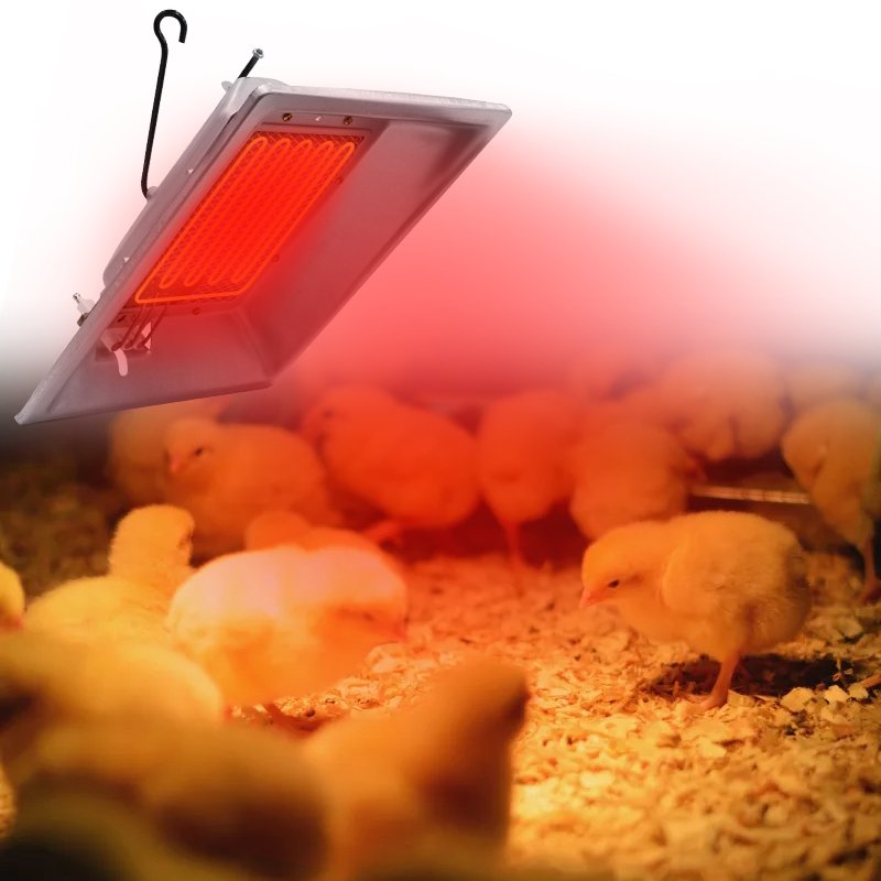 Automatic Ignition Chicken Brooder Gas Heater Brooder Breeding Equipment for Chick Piglet Poultry Farm Gas Brooder