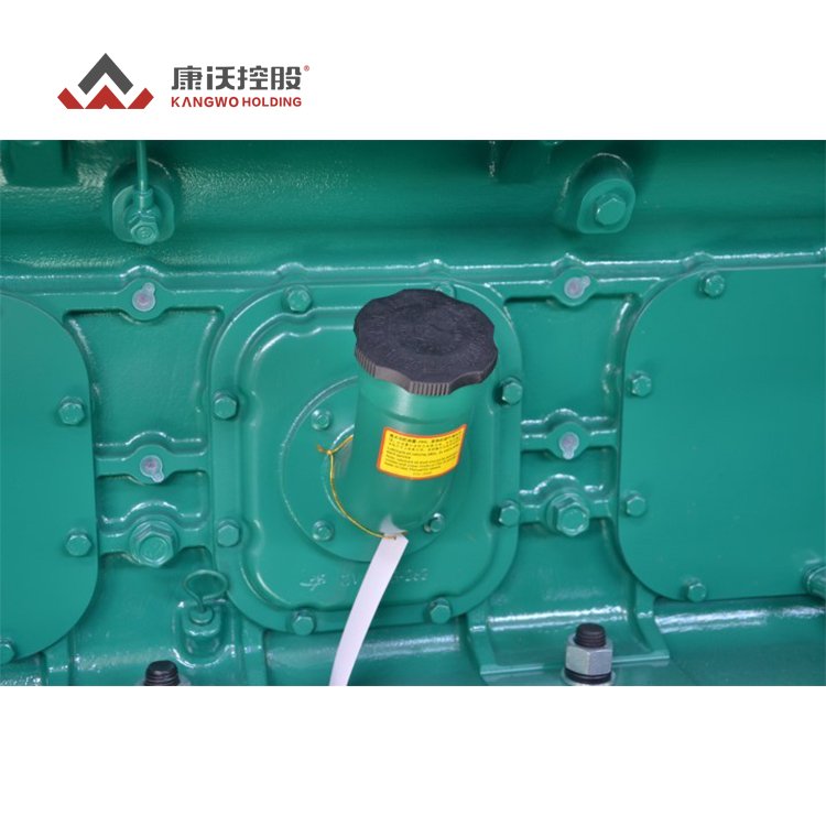 Super silent 20kw 30kw 50kw 80kw 100kw 150kw 200kw natural gas biogas diesel generator for sale