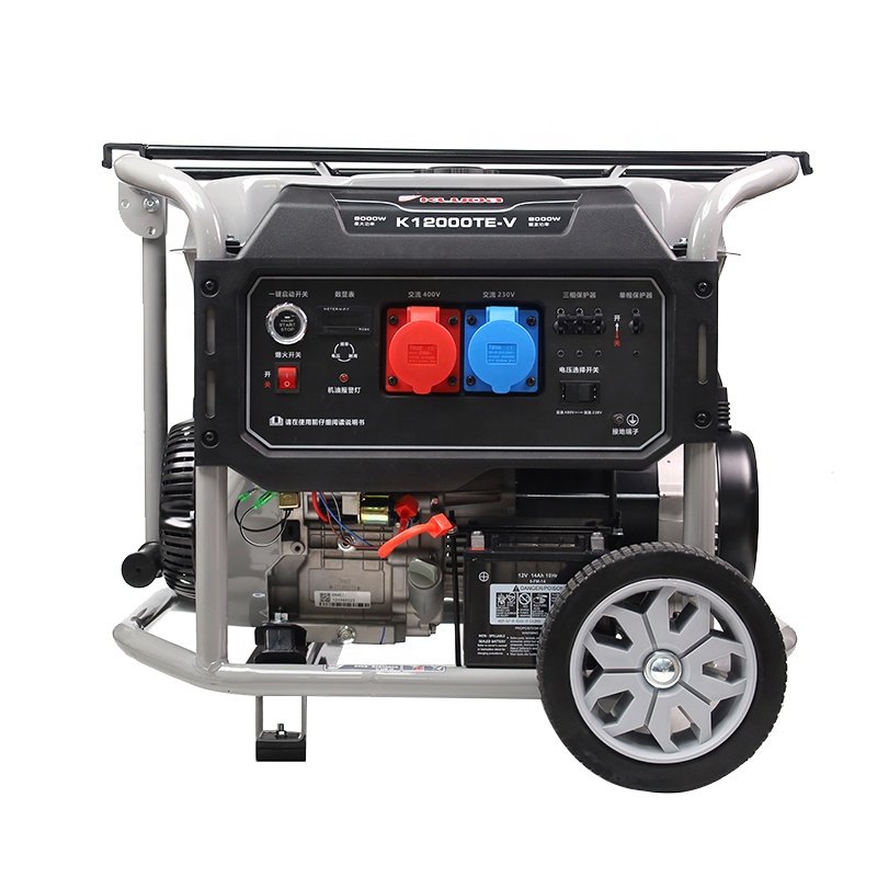 8KW 50HZ 60HZ 230V air cooled gasoline generator price biogas power generator