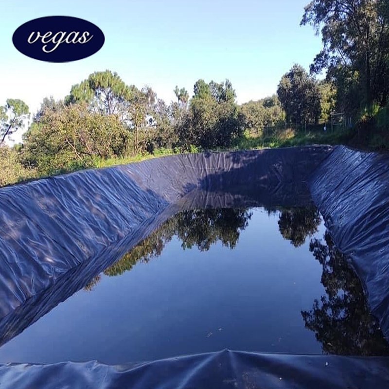 Hot sale black ASTM high density polyethylene smooth geomembrane with best price