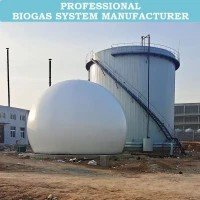 biogas driven generator