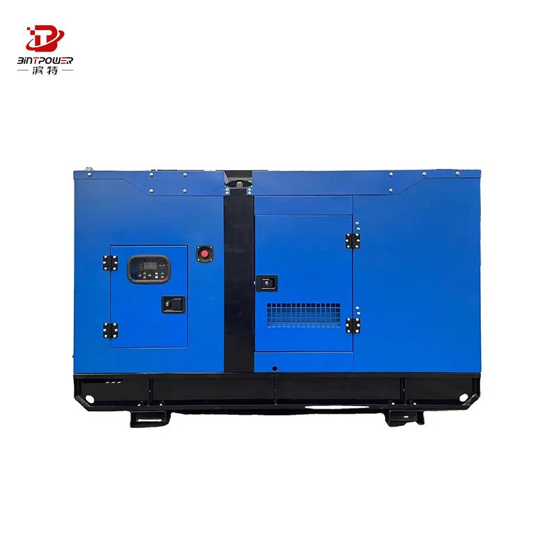 Hot sale BINTPOWER 100Kw 250kw silent type natural gas generator /LPG gas generator Biogas