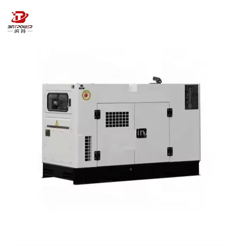 Hot sale BINTPOWER 100Kw 250kw silent type natural gas generator /LPG gas generator Biogas