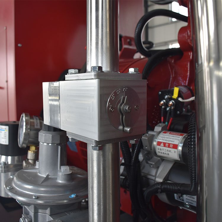 NTA855 Natural Gas Generator 250KW Factory Backup Power Generation Equipment Biogas Power Plant Propane Generator