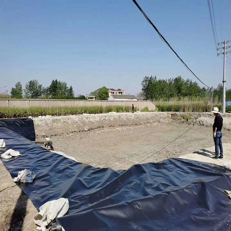 plastic liner high density polyethylene geomembrane hdpe 1mm bassin poisson thickness hot sale high performance