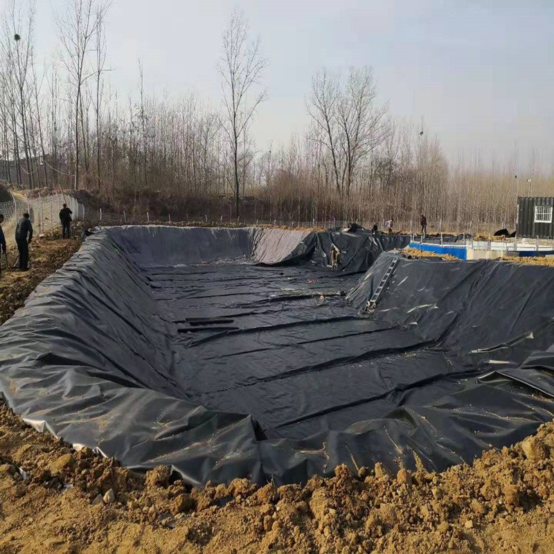 plastic liner high density polyethylene geomembrane hdpe 1mm bassin poisson thickness hot sale high performance