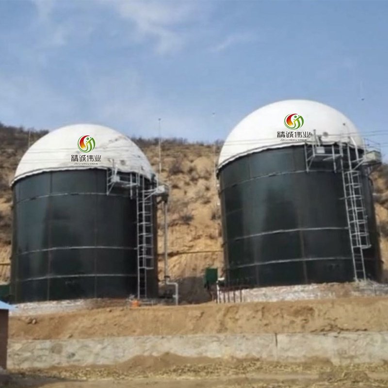 Professional biodigester steel tanks biogas for chicken farm bio gas system animal waste anaerobic digester