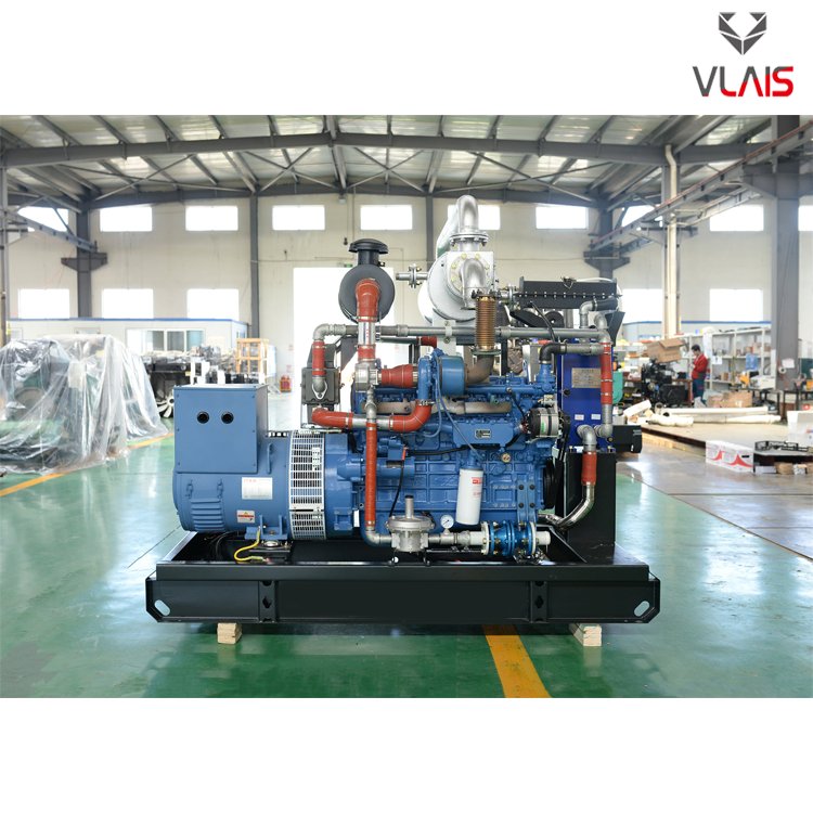 VLAIS Natural gas generators 30KW 37.5KVA super silent house use brushless all copper alternator water-cooled good quality