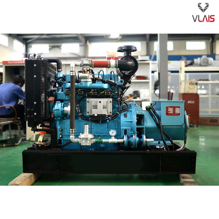 VLAIS Natural gas generators 30KW 37.5KVA super silent house use brushless all copper alternator water-cooled good quality