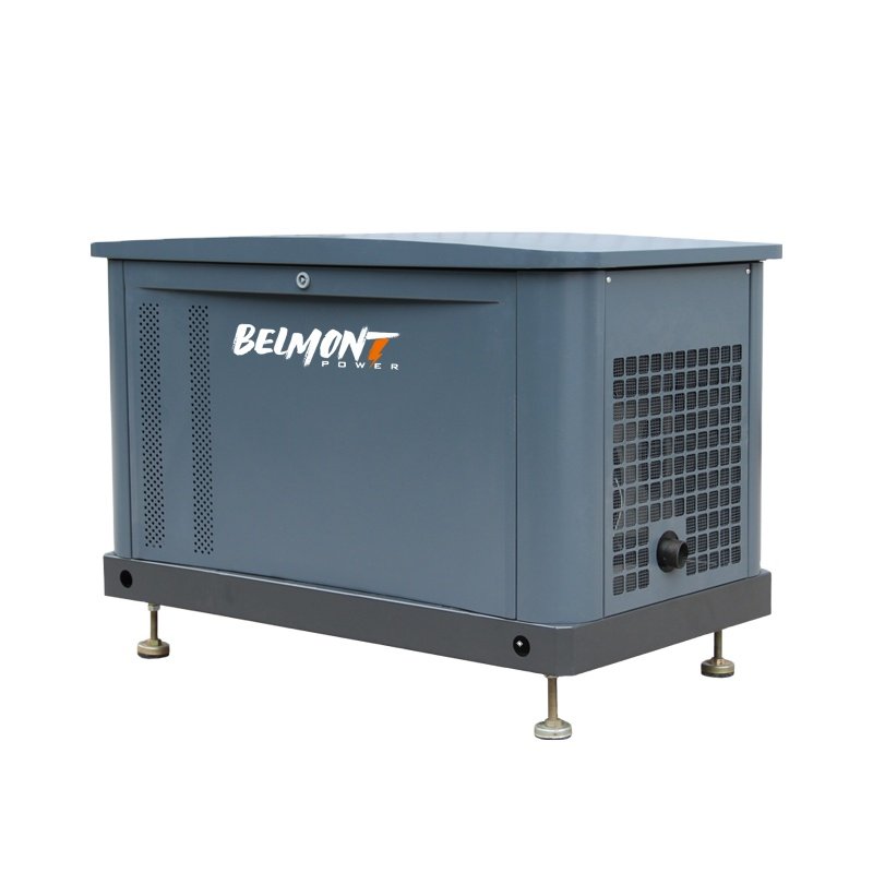 230v 400v 15kw 17.5kv 19Kva 20kva 16kw 25kva 36kva 20kw 22kw Natural Gas Generator