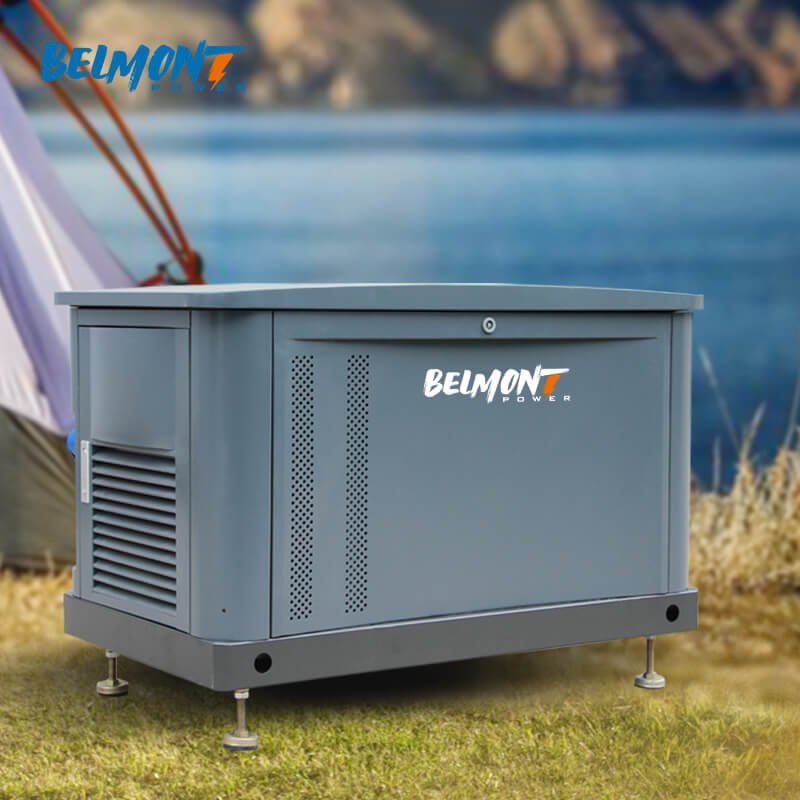 230v 400v 15kw 17.5kv 19Kva 20kva 16kw 25kva 36kva 20kw 22kw Natural Gas Generator