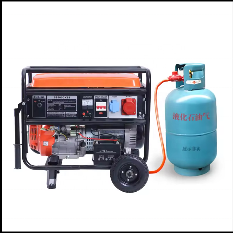 LPG Biogas Conversion Kit for Gasoline Generator