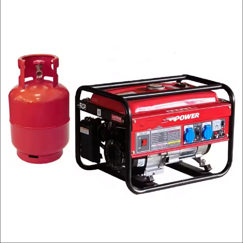 LPG Biogas Conversion Kit for Gasoline Generator