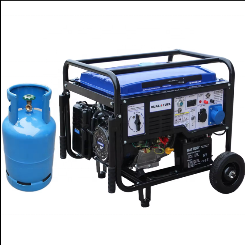 LPG Biogas Conversion Kit for Gasoline Generator