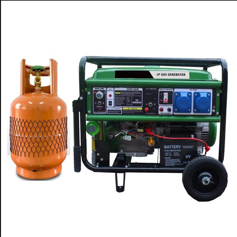 LPG Biogas Conversion Kit for Gasoline Generator