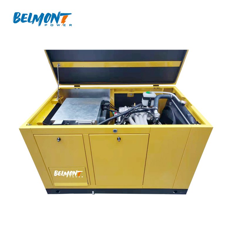 230v 400v 15kw 17.5kv 19Kva 20kva 16kw 25kva 36kva 20kw 22kw lpg generator 10kw Natural Gas Generator