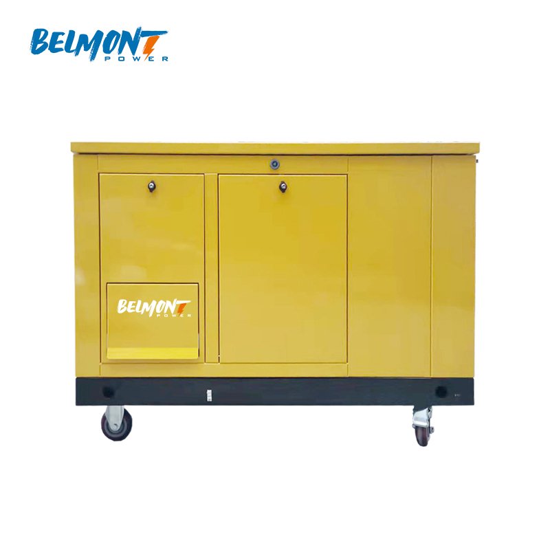 230v 400v 15kw 17.5kv 19Kva 20kva 16kw 25kva 36kva 20kw 22kw lpg generator 10kw Natural Gas Generator