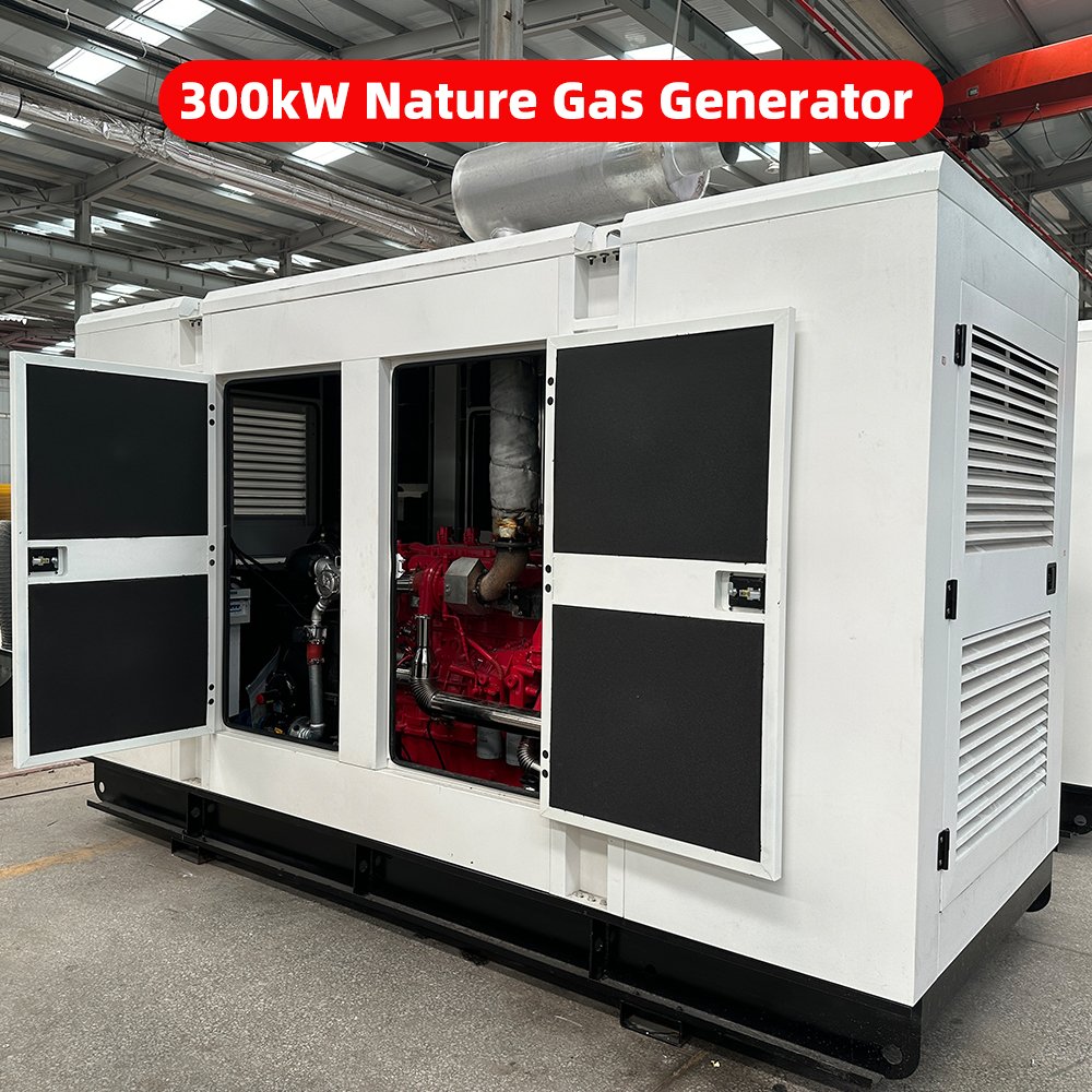 CNG LPG Hydrogen Biogas Propane Chlorine Natural Gas Turbine Generators Set Generation Equipment Genset Silent Gas Generator